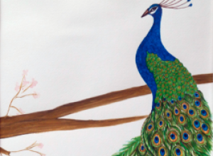 Partial image of Juror's Choice Award winner - Nature Peacock by Rupal Patel